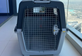 Dogs carriers for air travel urgent sale