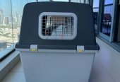 Dogs carriers for air travel urgent sale