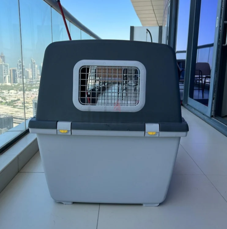 Dogs carriers for air travel urgent sale