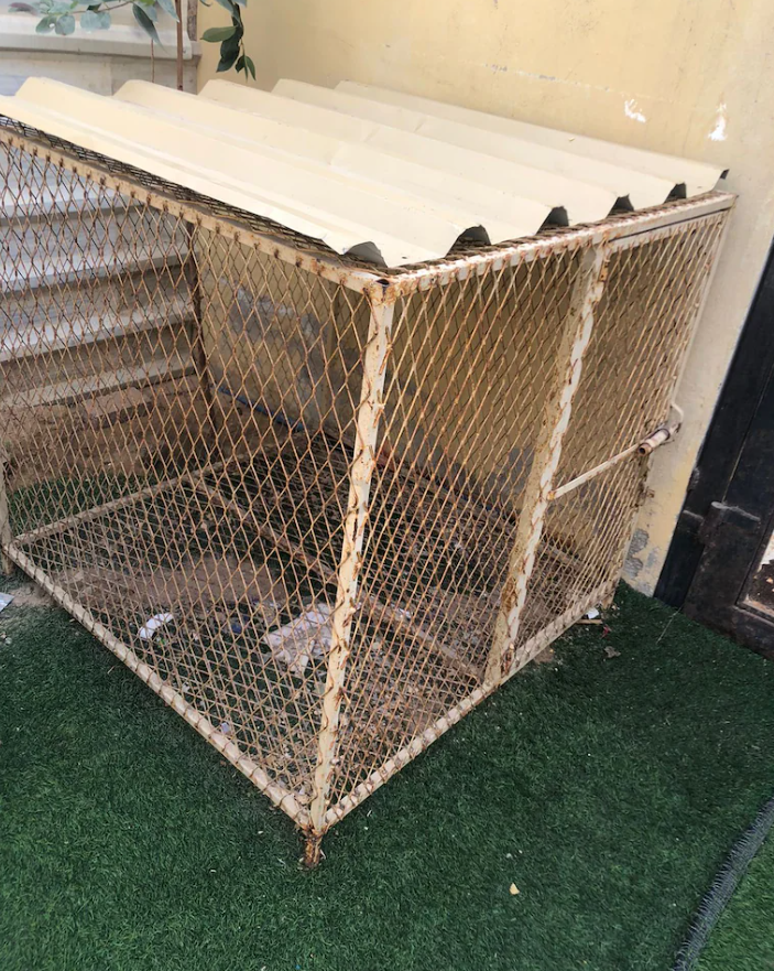 Dog house