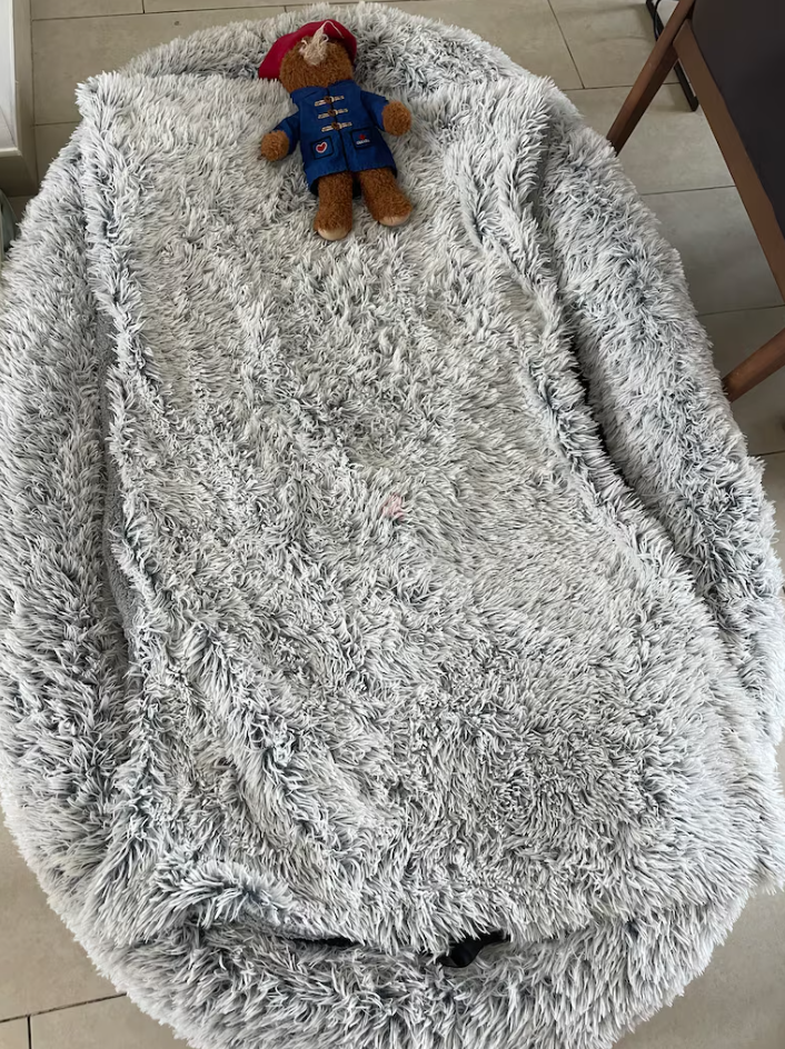 Large new dog bed