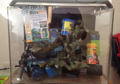 Screenshot-2025-02-06-153350