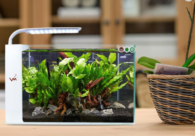 Screenshot-2025-02-06-153457