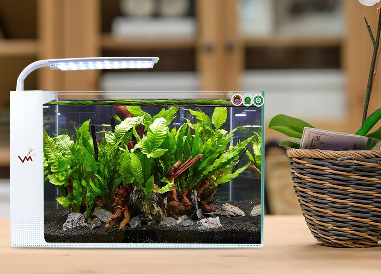 Crystal clear fish tank with filter and light (40 x 30 x 30)