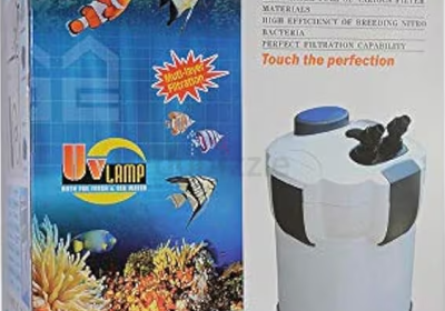 Screenshot-2025-02-06-153832