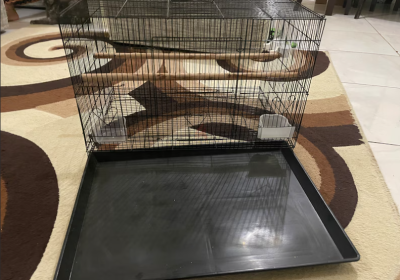 Screenshot-2025-02-06-153925