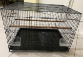 Birds cage
