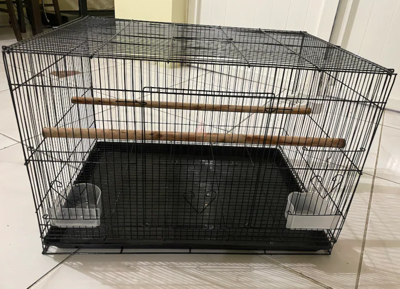 Birds cage