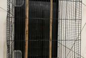 Birds cage
