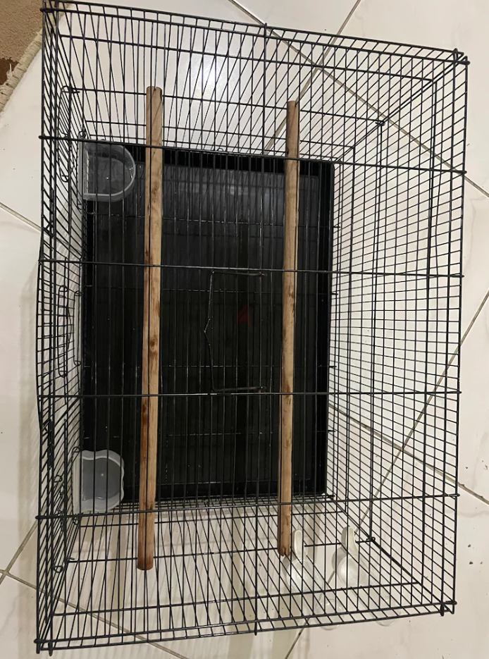 Birds cage