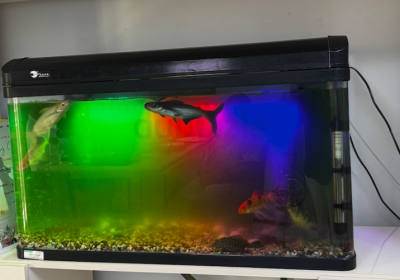 Screenshot-2025-02-06-154029