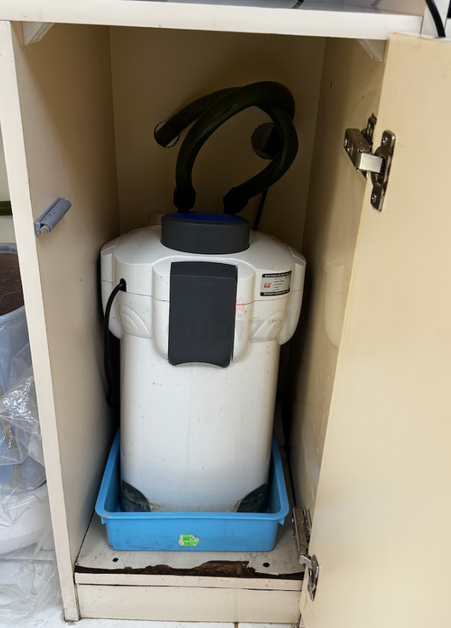 Aquarium for sale 100 cm with 7 Fishes and Filter