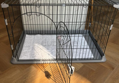 Screenshot-2025-02-06-155002