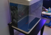 Big fish tank for sale