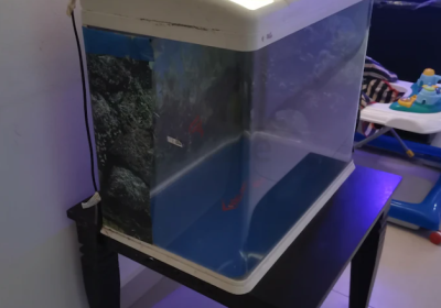 Screenshot-2025-02-06-155310