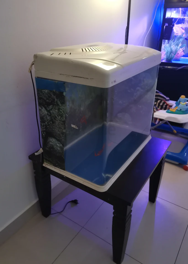 Big fish tank for sale