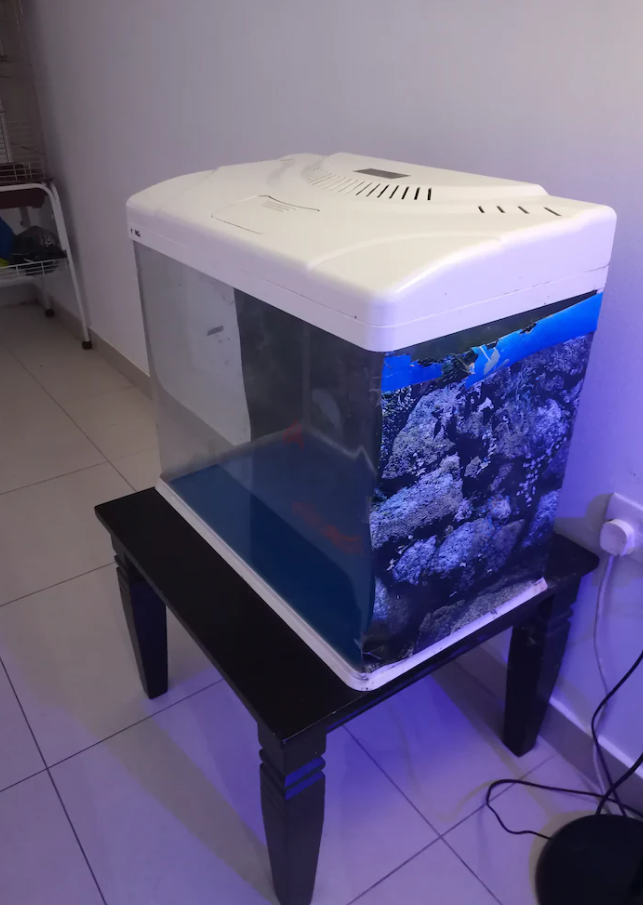 Big fish tank for sale