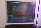 Big fish tank for sale