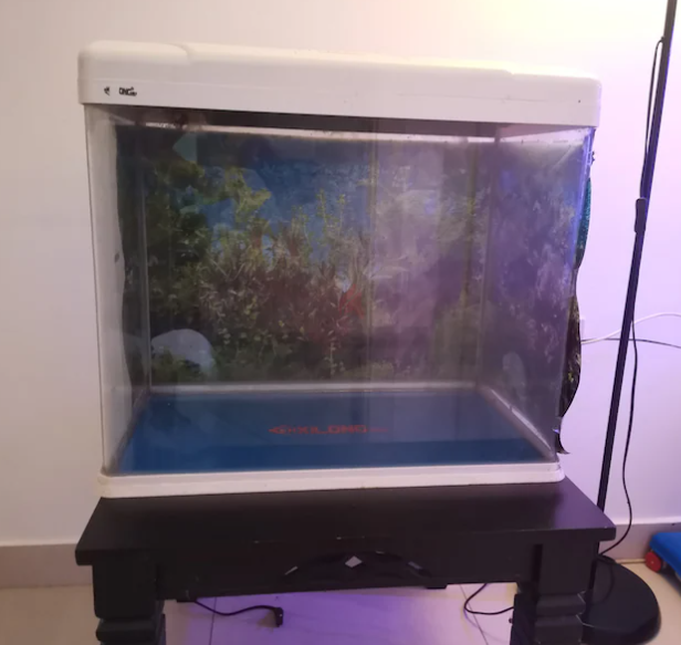 Big fish tank for sale