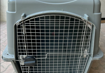 Screenshot-2025-02-06-155609