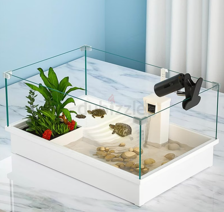 Turtle, Aquarium and Accessories