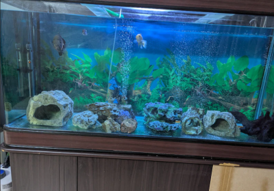 Screenshot-2025-02-06-180856