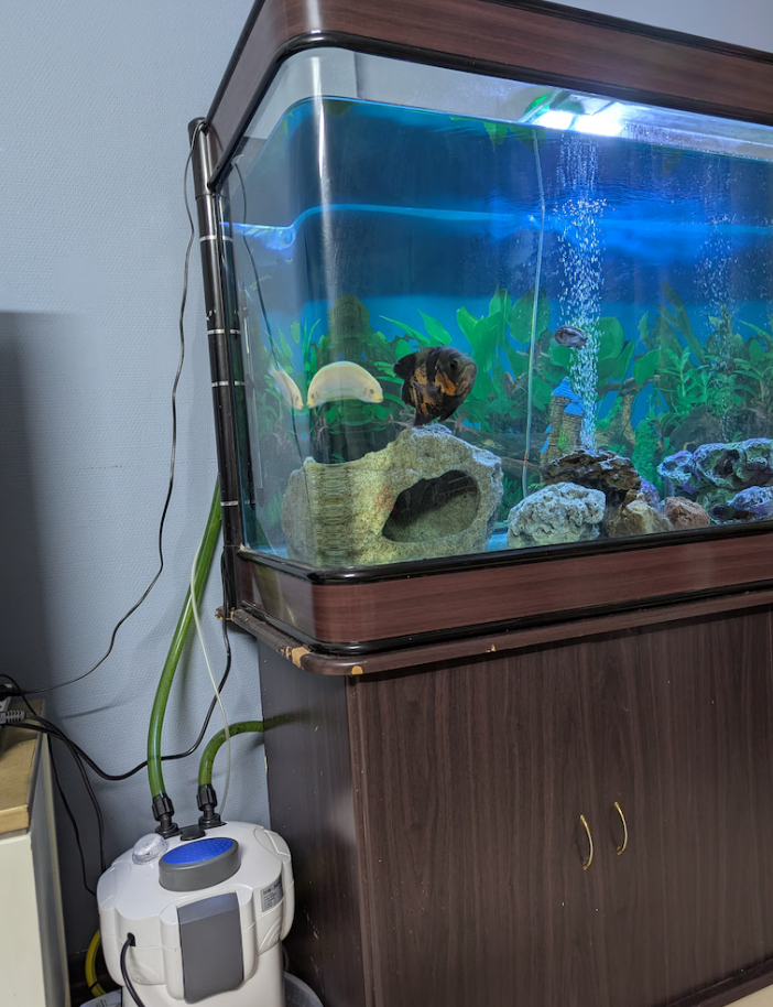Complete Large Aquarium with Filters, Cabinet, Decorations Live Fishes