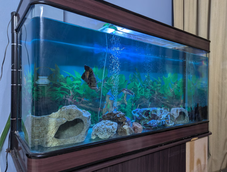 Complete Large Aquarium with Filters, Cabinet, Decorations Live Fishes