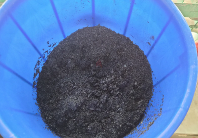 Screenshot-2025-02-06-181031