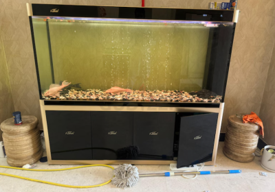 Screenshot-2025-02-06-181312