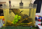 Fish tank – aquarium
