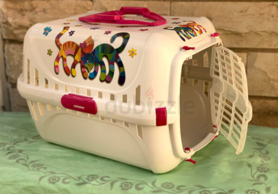 Screenshot-2025-02-06-181753