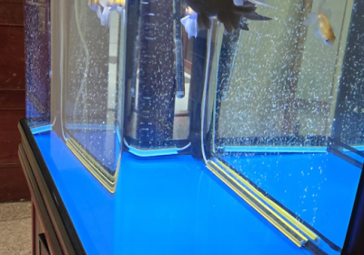 Screenshot-2025-02-06-181852