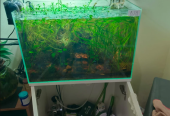 Aquarium with stand