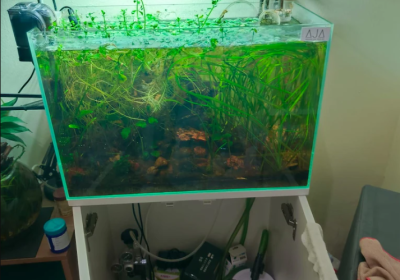 Screenshot-2025-02-06-182005