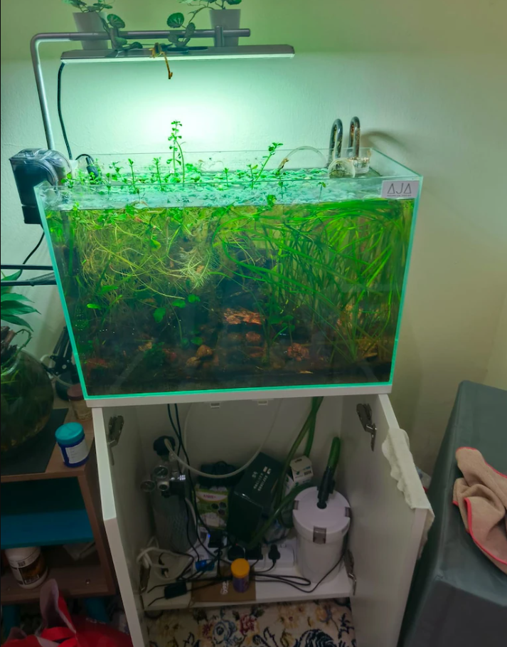 Aquarium with stand