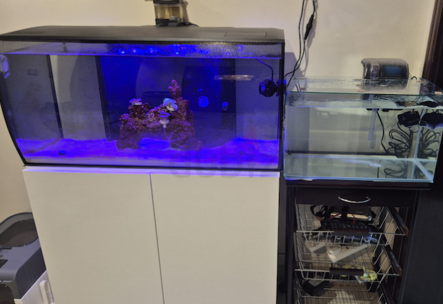 Marine tank with qurantine tank for sale