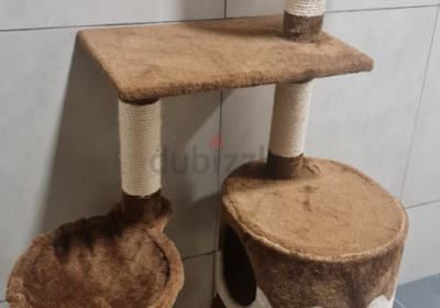 Screenshot-2025-02-06-182834