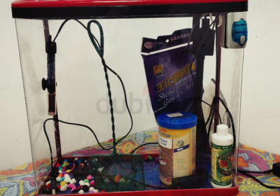 Screenshot-2025-02-06-183110