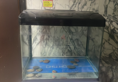 Screenshot-2025-02-06-183220