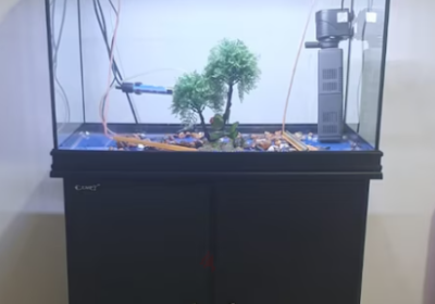 Screenshot-2025-02-06-183353