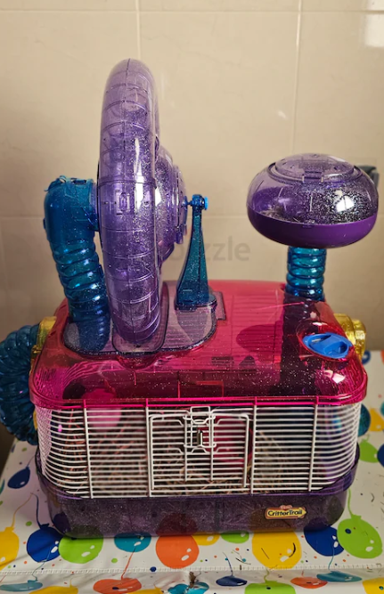 Piece of art Decorative Hamaster Cadge