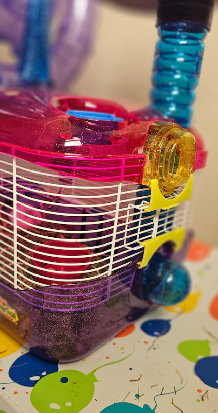 Piece of art Decorative Hamaster Cadge