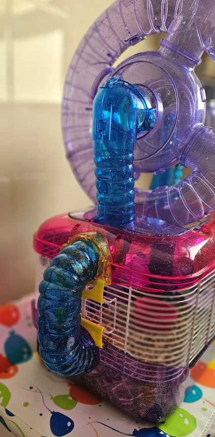 Piece of art Decorative Hamaster Cadge