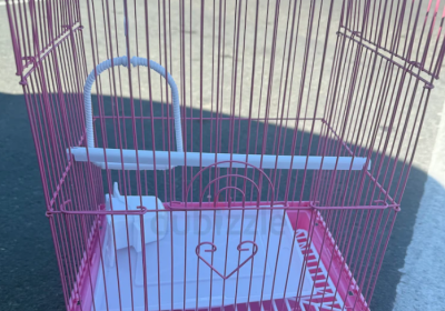 Screenshot-2025-02-06-183819