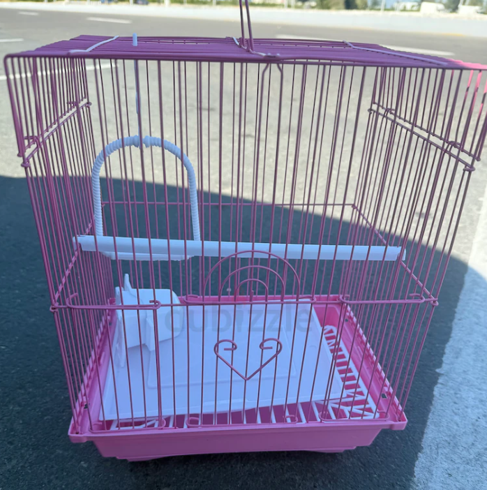 Birds Cage