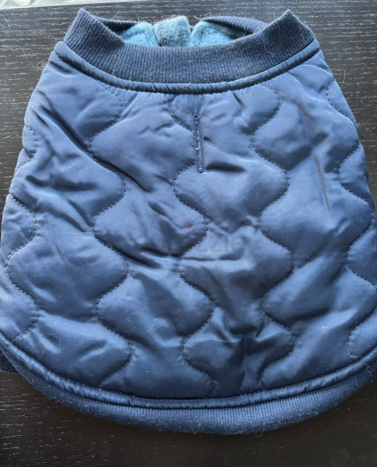Zipper Jacket for small cat or dog