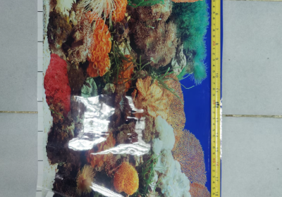 Screenshot-2025-02-06-184255