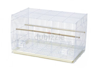 Screenshot-2025-02-06-184443