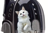 PVC Hard-Sided Pet Carrier Backpack